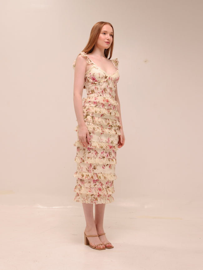 Fiorenza in English Rose