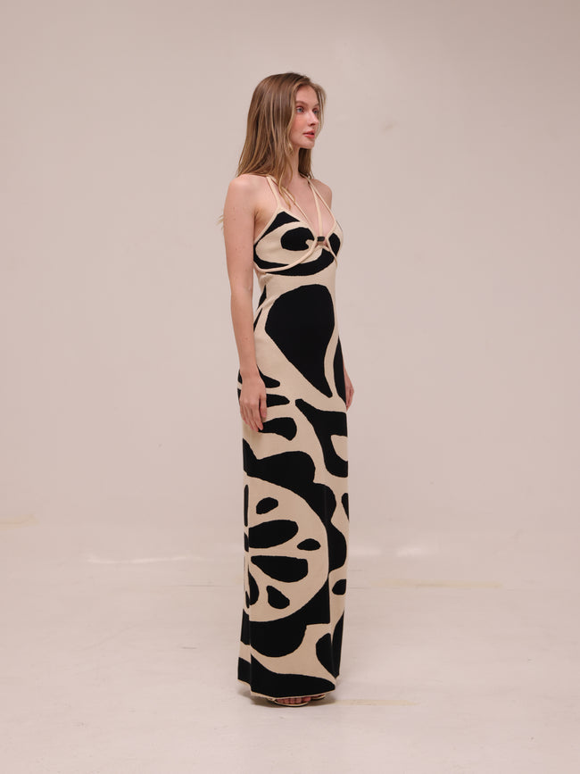 Noemi Sleeveless V-Neck Maxi Dress