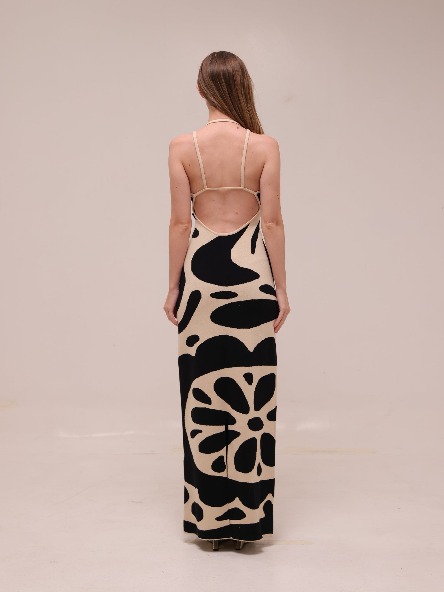 Noemi Sleeveless V-Neck Maxi Dress