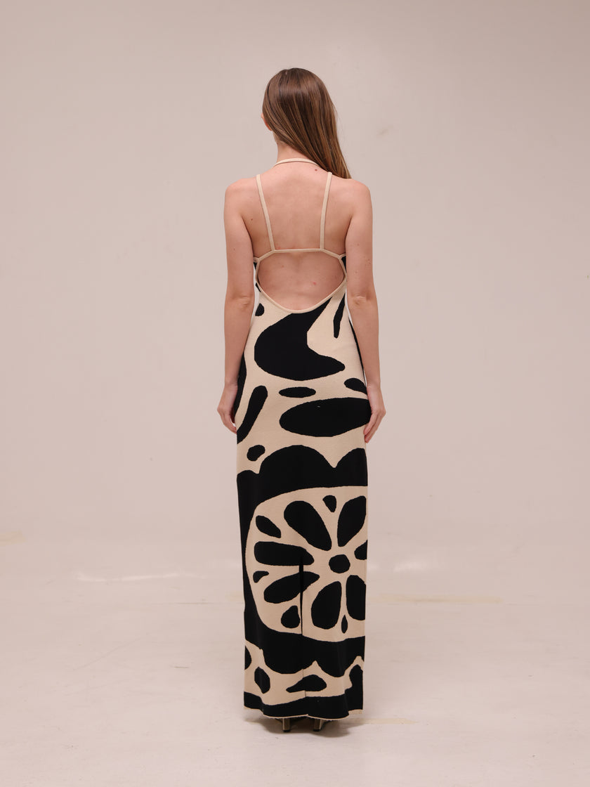 Noemi Sleeveless V-Neck Maxi Dress