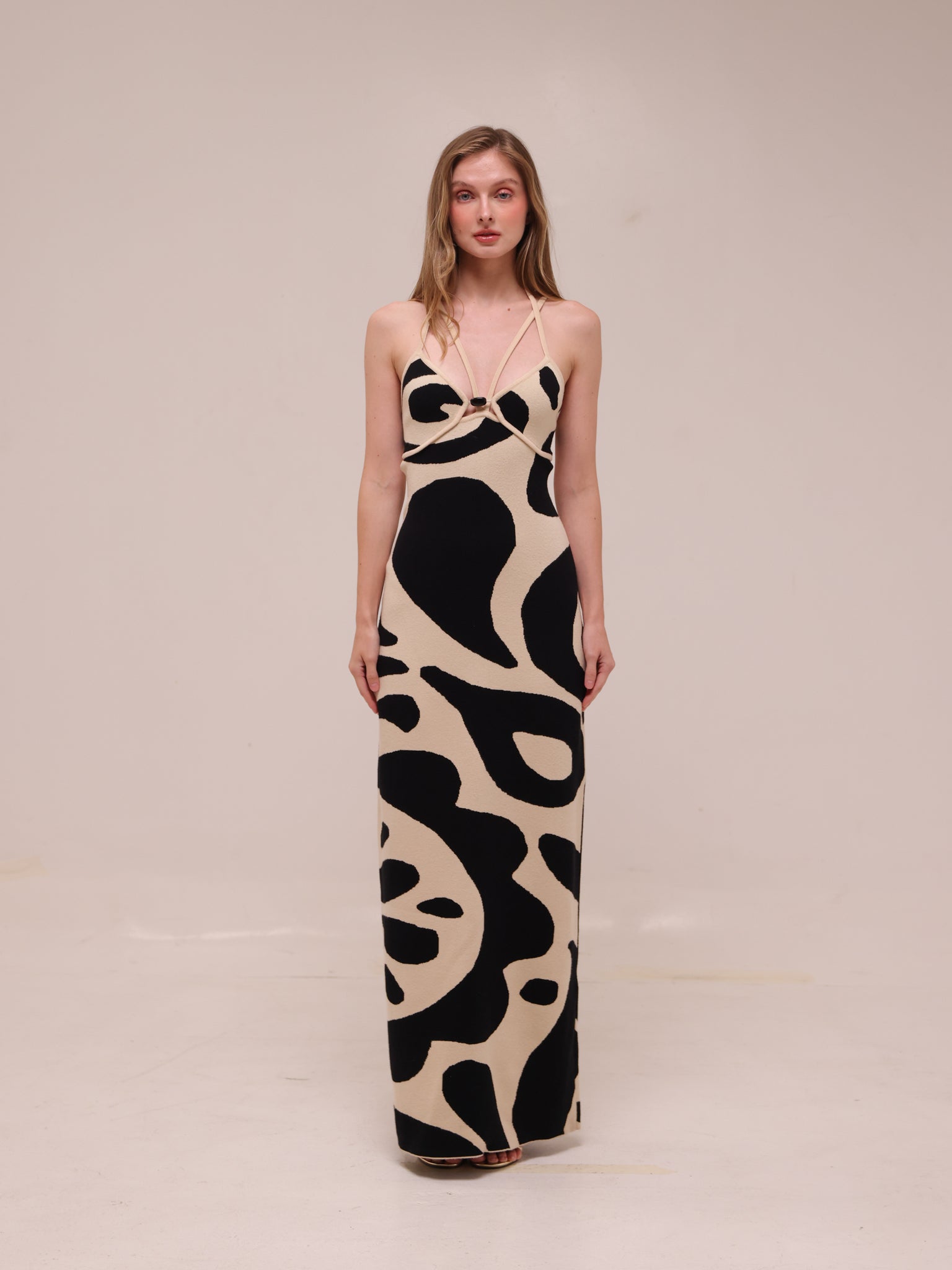 Noemi Sleeveless V-Neck Maxi Dress