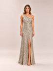 Moonlight Shimmer Gown