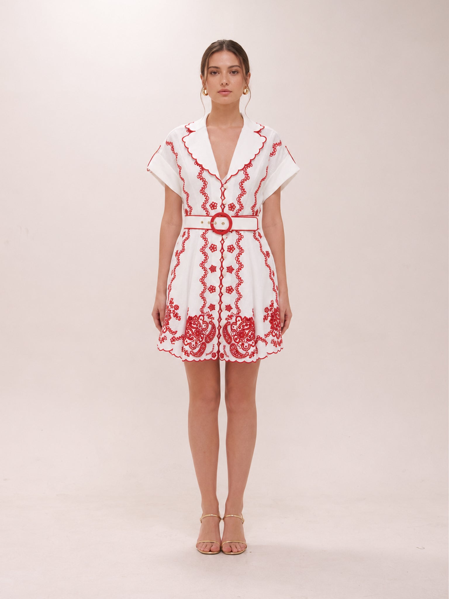 Lucky Embroidered Dress