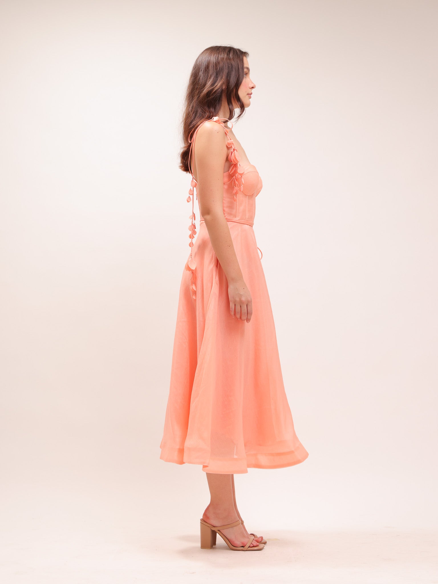 Wonderland Appliqué Midi Dress