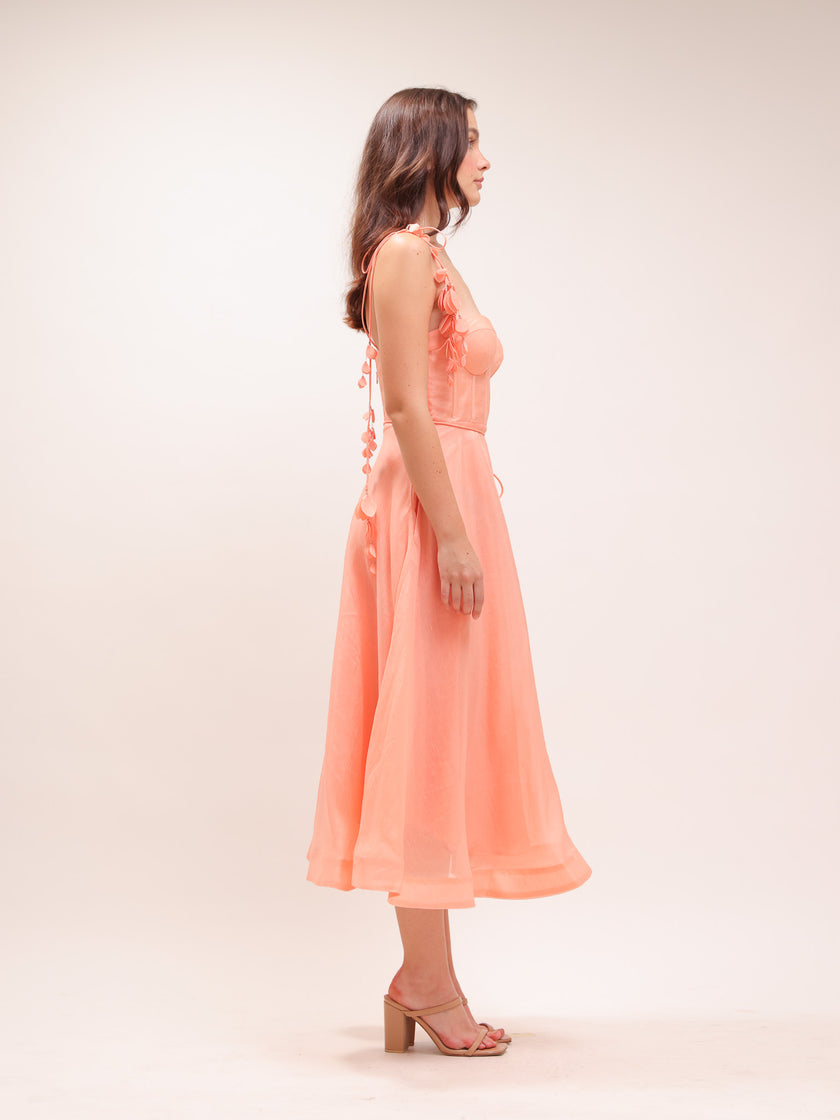 Wonderland Appliqué Midi Dress