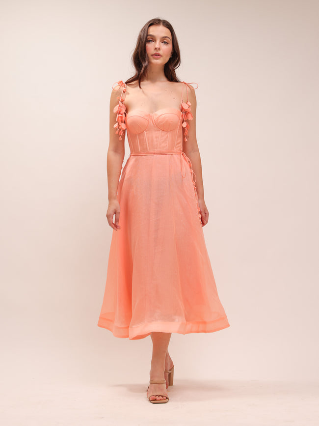 Wonderland Appliqué Midi Dress