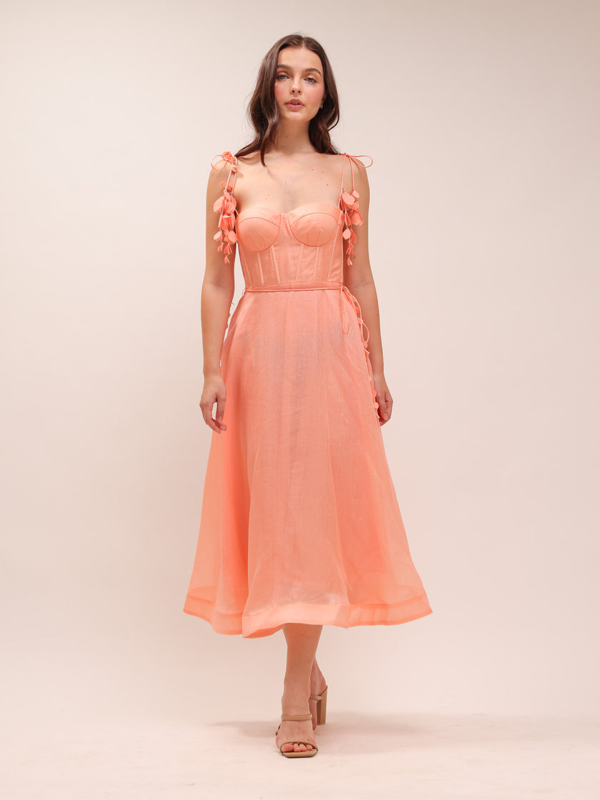 Wonderland Appliqué Midi Dress