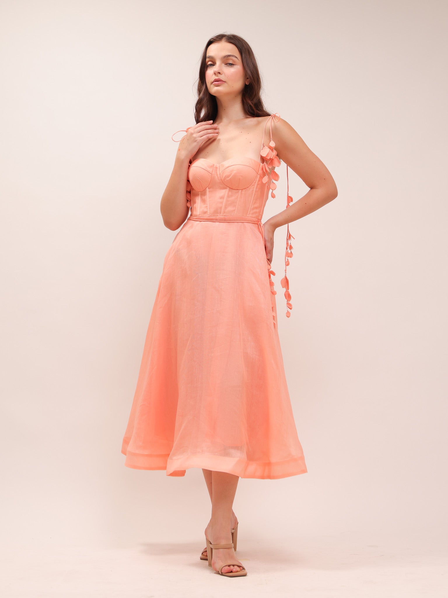 Wonderland Appliqué Midi Dress
