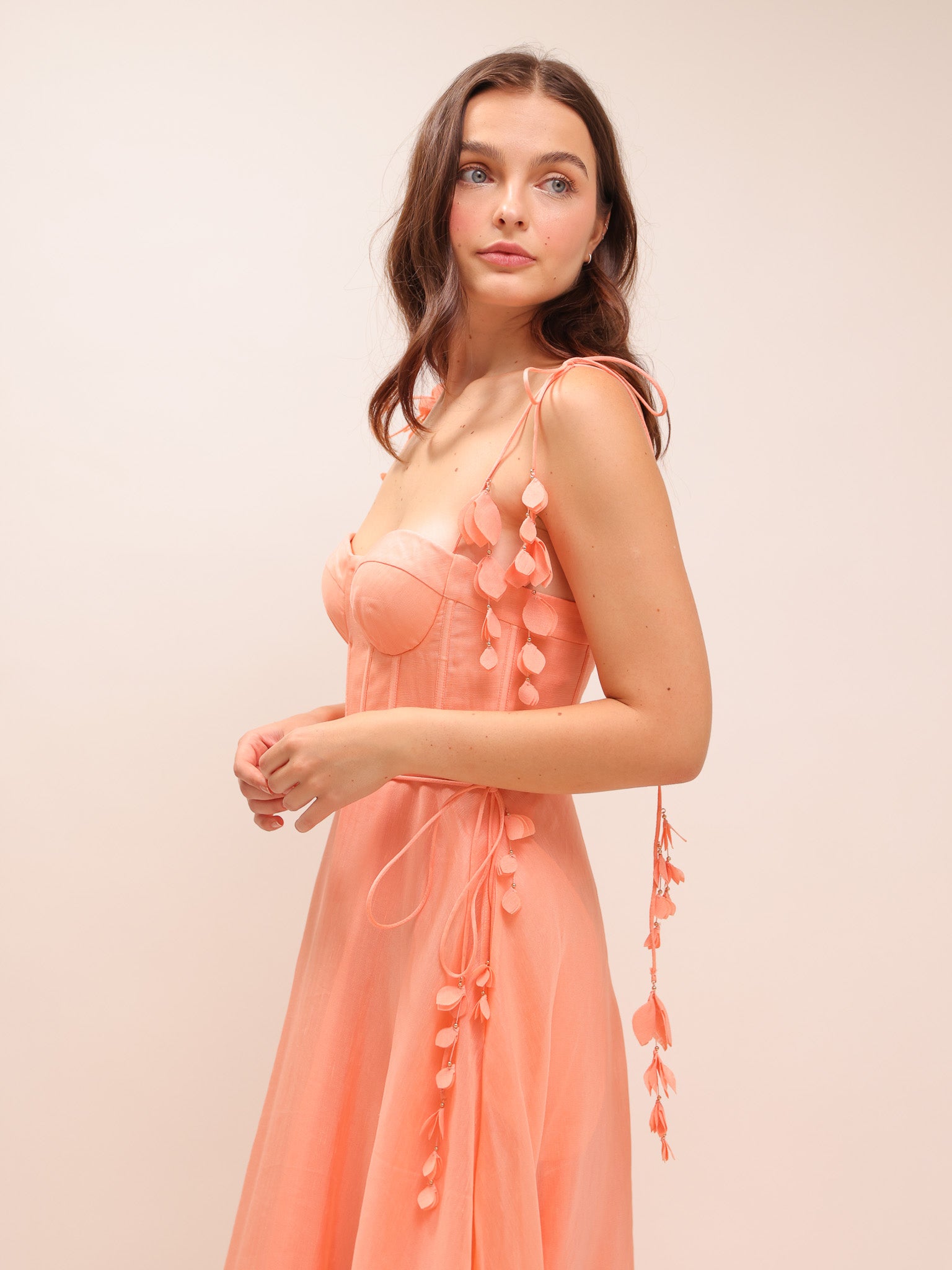 Wonderland Appliqué Midi Dress