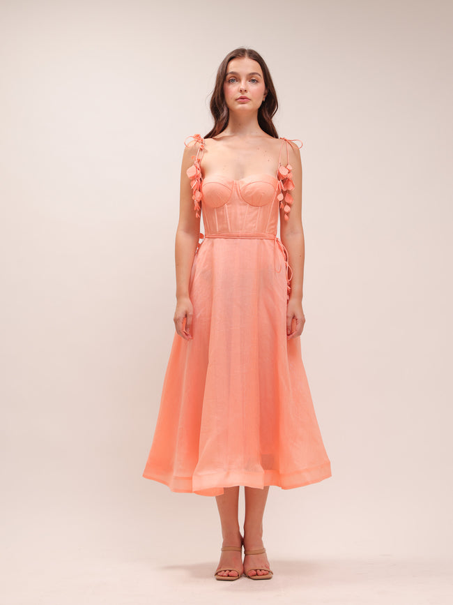 Wonderland Appliqué Midi Dress
