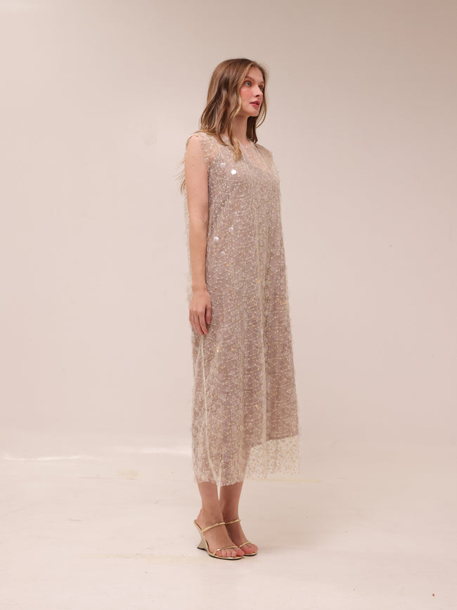 Shimmer Mesh Midi Dress