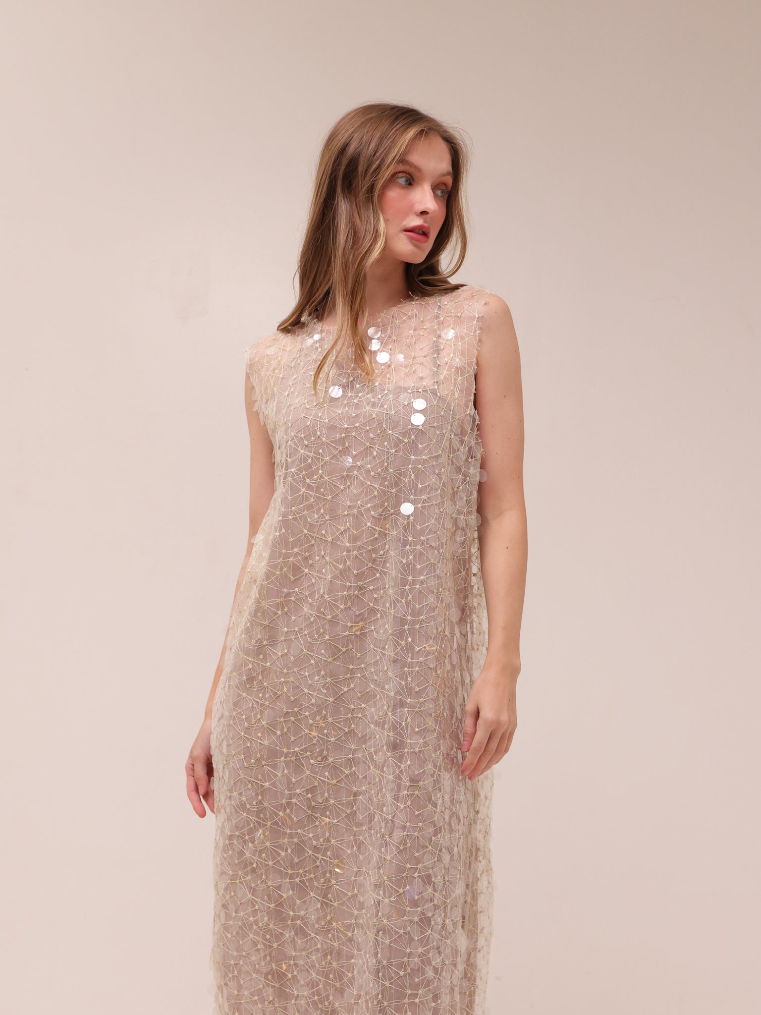 Shimmer Mesh Midi Dress