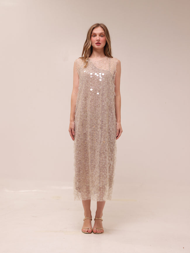 Shimmer Mesh Midi Dress